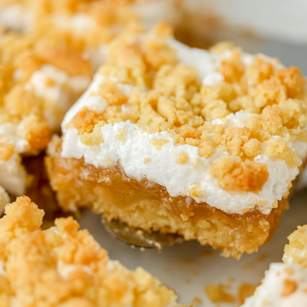 Sharlotka Apple cake cut into square pieces.