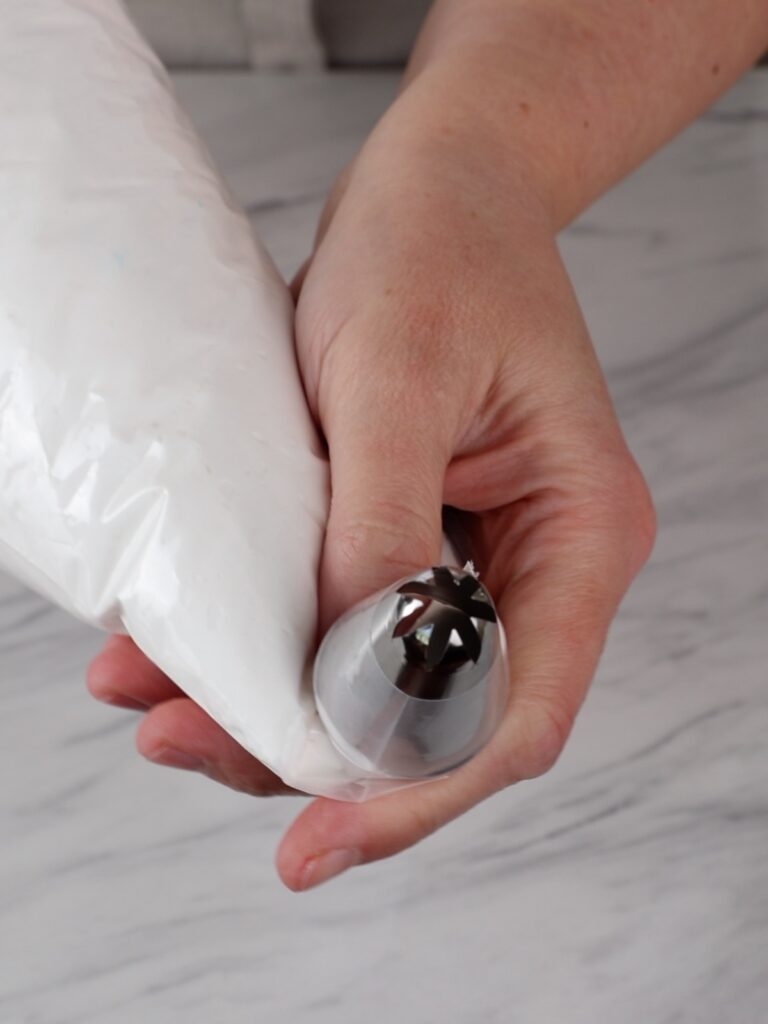Piping tip in the pastry bag with Apple Zephyr.