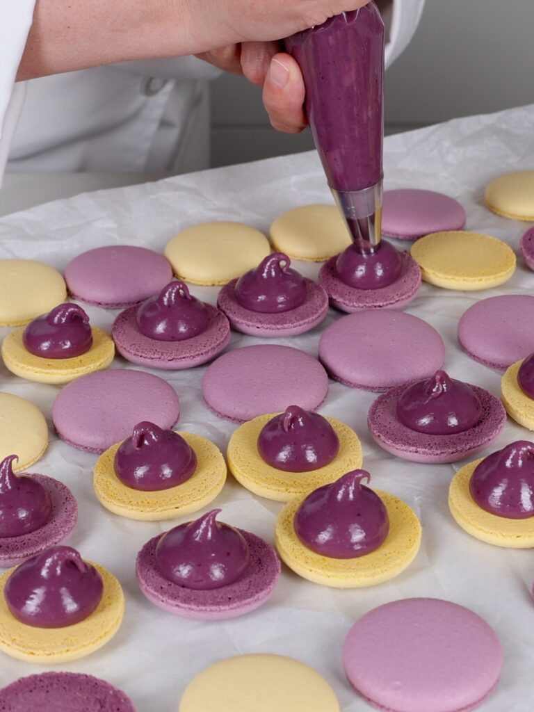 Piping blackberry ganache on the macaron shells. 