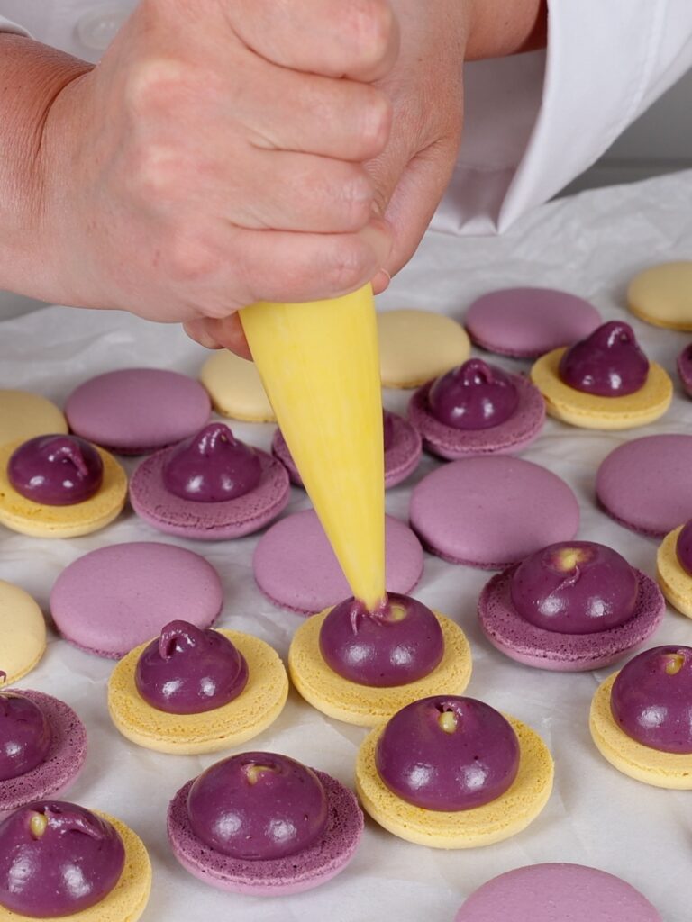 Piping lemon curd in the blackberry ganache on macaron shells. 