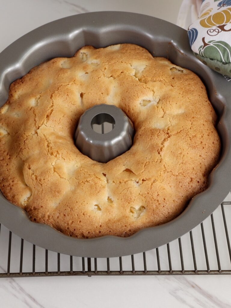Apple cake in the round baking pan. 